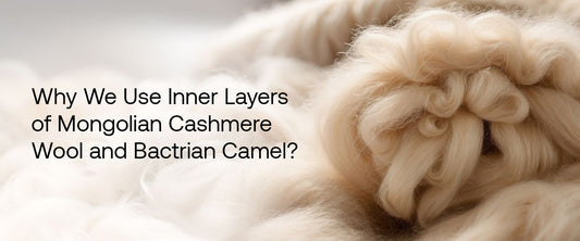 Why We Use Inner Layers of Mongolian Cashmere Wool and Bactrian Camel?